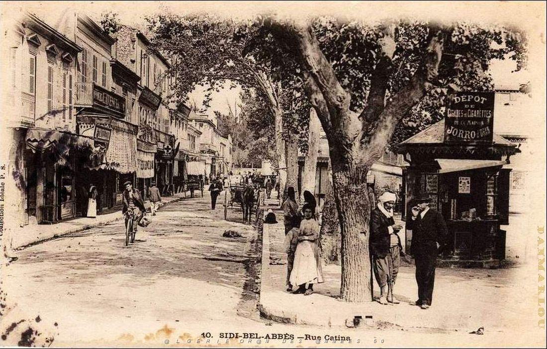 Sidi bel abbes 180.jpg